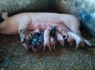 IMG_20160217_164944