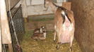 Picture 7784