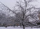 P2070053