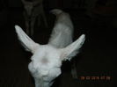 DSCN0546