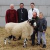 Berbec Rough Fell castigator-p54
