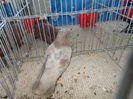 DSCN7312