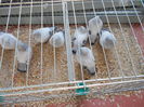 DSCN7330