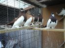 20160227_144016