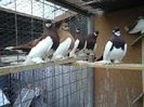 20160227_144018