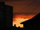 DSCN8877