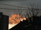 DSCN8888