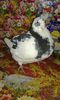 received_231078393901486