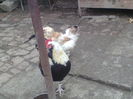 Photo0117