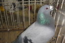 DSC01847