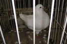 DSC01850