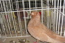 DSC01878