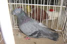 DSC01879