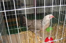 DSC01889