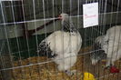 DSC01902