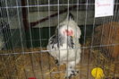 DSC01903