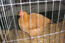 DSC01905