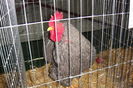 DSC01906