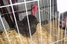 DSC01914
