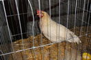 DSC01934