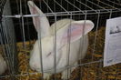 DSC01951