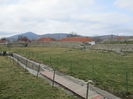 IMG_1051