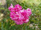 10 sept. 060