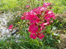 10 sept. 073