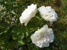 10 sept. 075