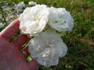 10 sept. 076