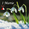 1_martie