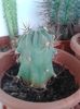 20160301_144424