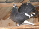 DSCN0952