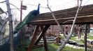 20160302_153943