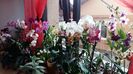 20160205_101127