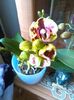 IMG_20160304_084109