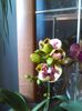 IMG_20160304_084115