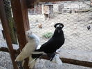 SAM_0358