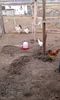 20160228_153035