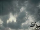DSCN0042
