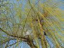 DSCN9982