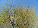 DSCN9983