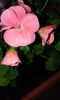 20160304_175806