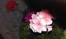 20160304_180120