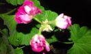 20160304_180140
