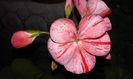 20160304_180532