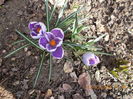 DSCN1100