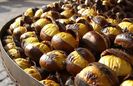 castane comestibile