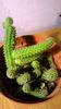 WP_20160229_18_36_27_Pro