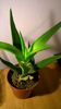 WP_20160229_18_33_26_Pro